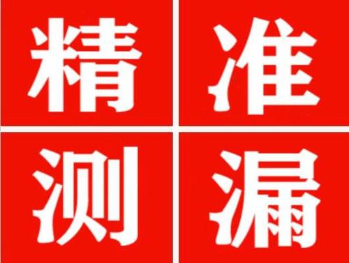 白水尚嘉漏水精准查找