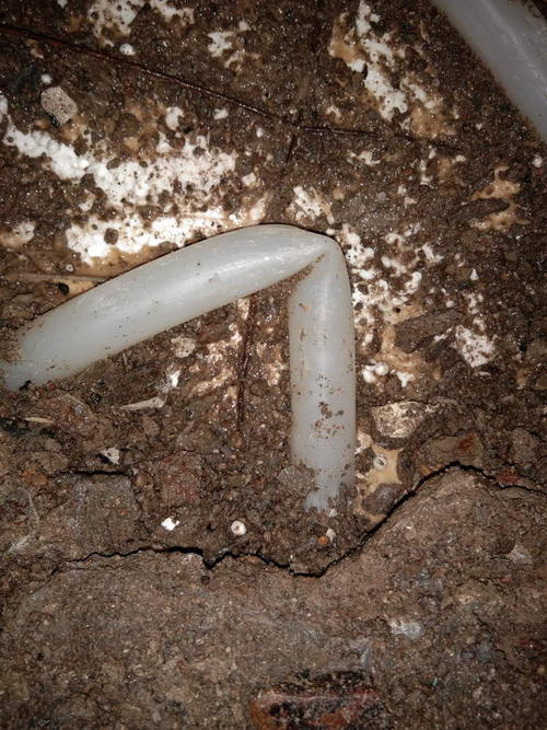 白水堵点精准查找